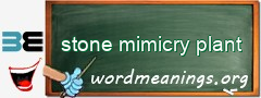 WordMeaning blackboard for stone mimicry plant